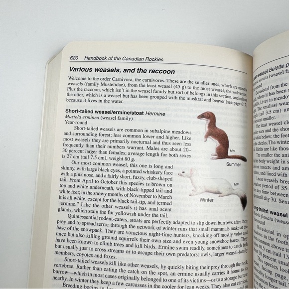 Handbook of the Canadian Rockies - Picture 7 of 10